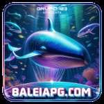 baleiapg Casino Official v5.5.9